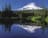 Timberline Mountain Guides Guided expedition to Mount Hood